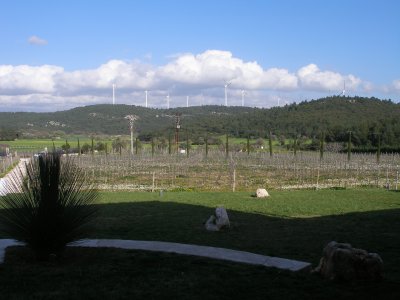 Hotel 6